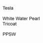 Preview: Tesla, White Water Pearl Tricoat, PPSW.